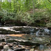 Review photo of Kentuck Campground — Ohiopyle State Park by Katie , September 29, 2020