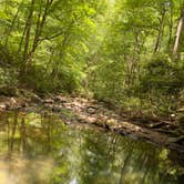 Review photo of Kentuck Campground — Ohiopyle State Park by Katie , September 29, 2020