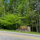 Review photo of Leonard Harrison State Park — Leonard Harrison State Park by Katie , September 29, 2020