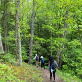 Review photo of Leonard Harrison State Park — Leonard Harrison State Park by Katie , September 29, 2020