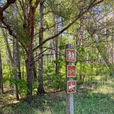 Review photo of Chinnabee Silent Trail Backcountry Site 4 by Asher K., September 29, 2020