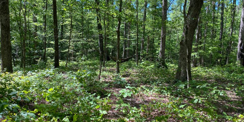 Camper submitted image from Chinnabee Silent Trail Backcountry Site 4