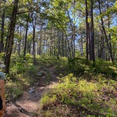 Review photo of Chinnabee Silent Trail Backcountry Site 5 by Asher K., September 29, 2020