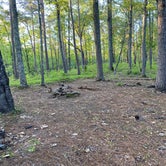 Review photo of Chinnabee Silent Trail Backcountry Site 5 by Asher K., September 29, 2020