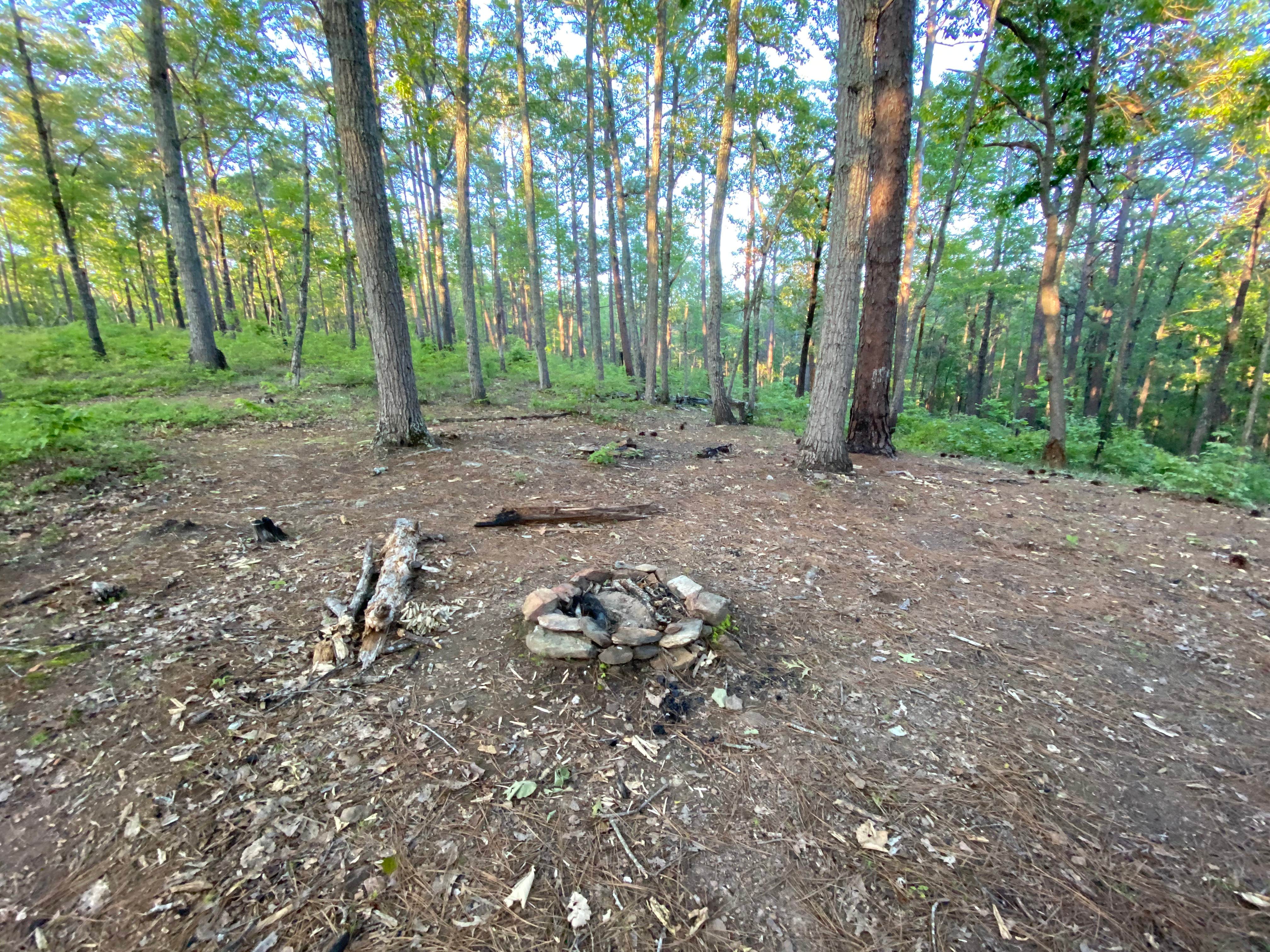 Camper-submitted photo at Chinnabee Silent Trail Backcountry Site 5 near Columbiana, AL