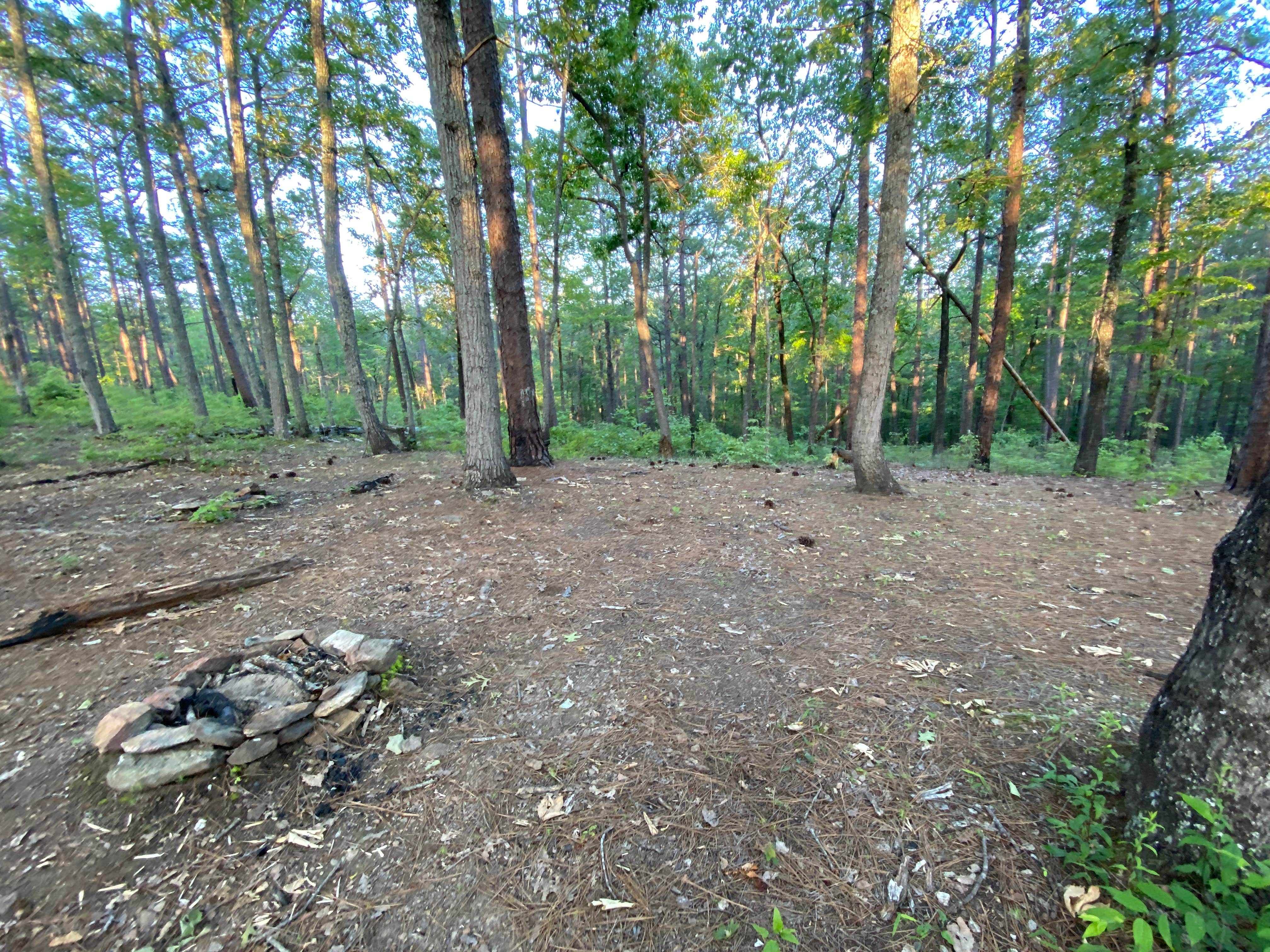Camper-submitted photo at Chinnabee Silent Trail Backcountry Site 5 near Columbiana, AL