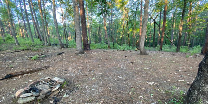 Camper submitted image from Chinnabee Silent Trail Backcountry Site 5