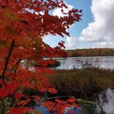 Review photo of Audie Lake County Park by Lynette J., September 29, 2020