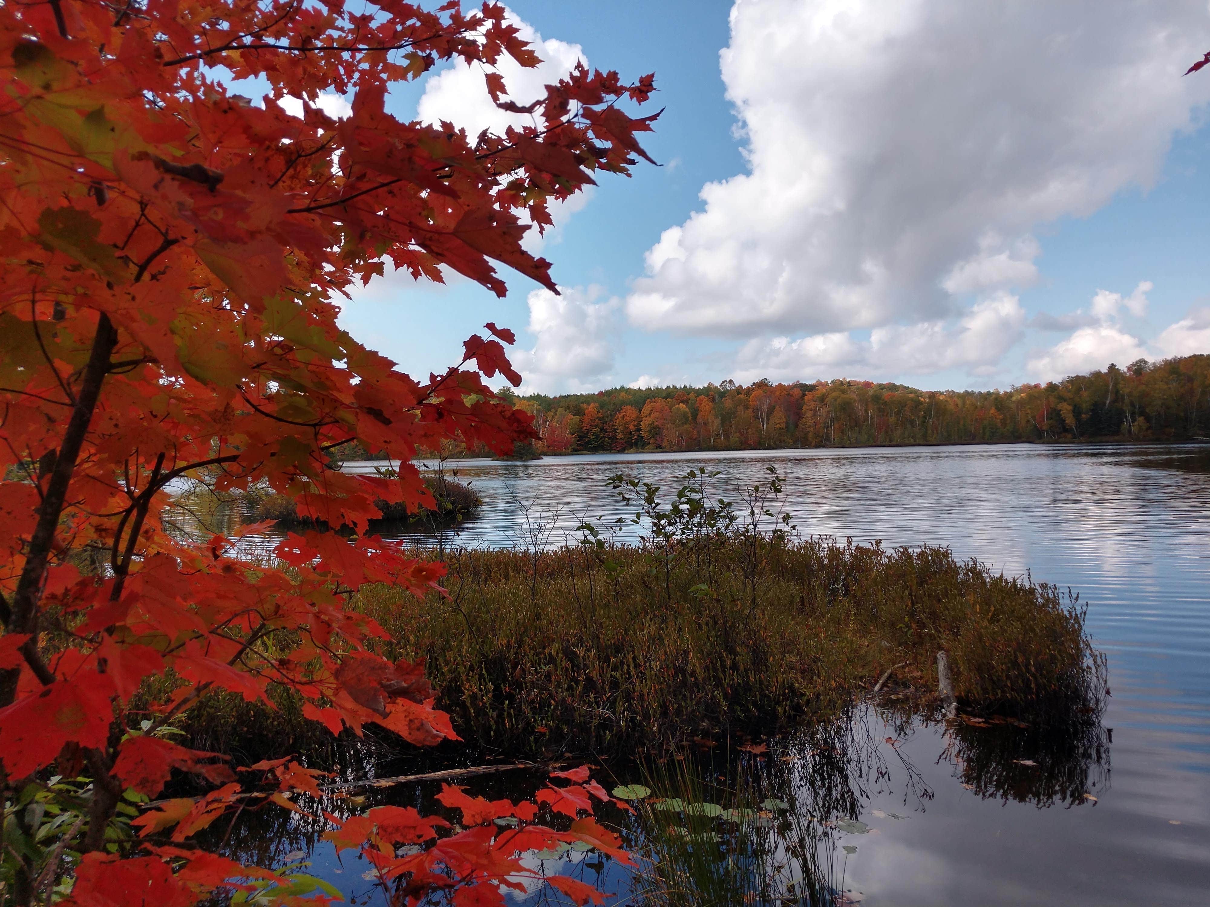 Camper submitted image from Audie Lake County Park - 3