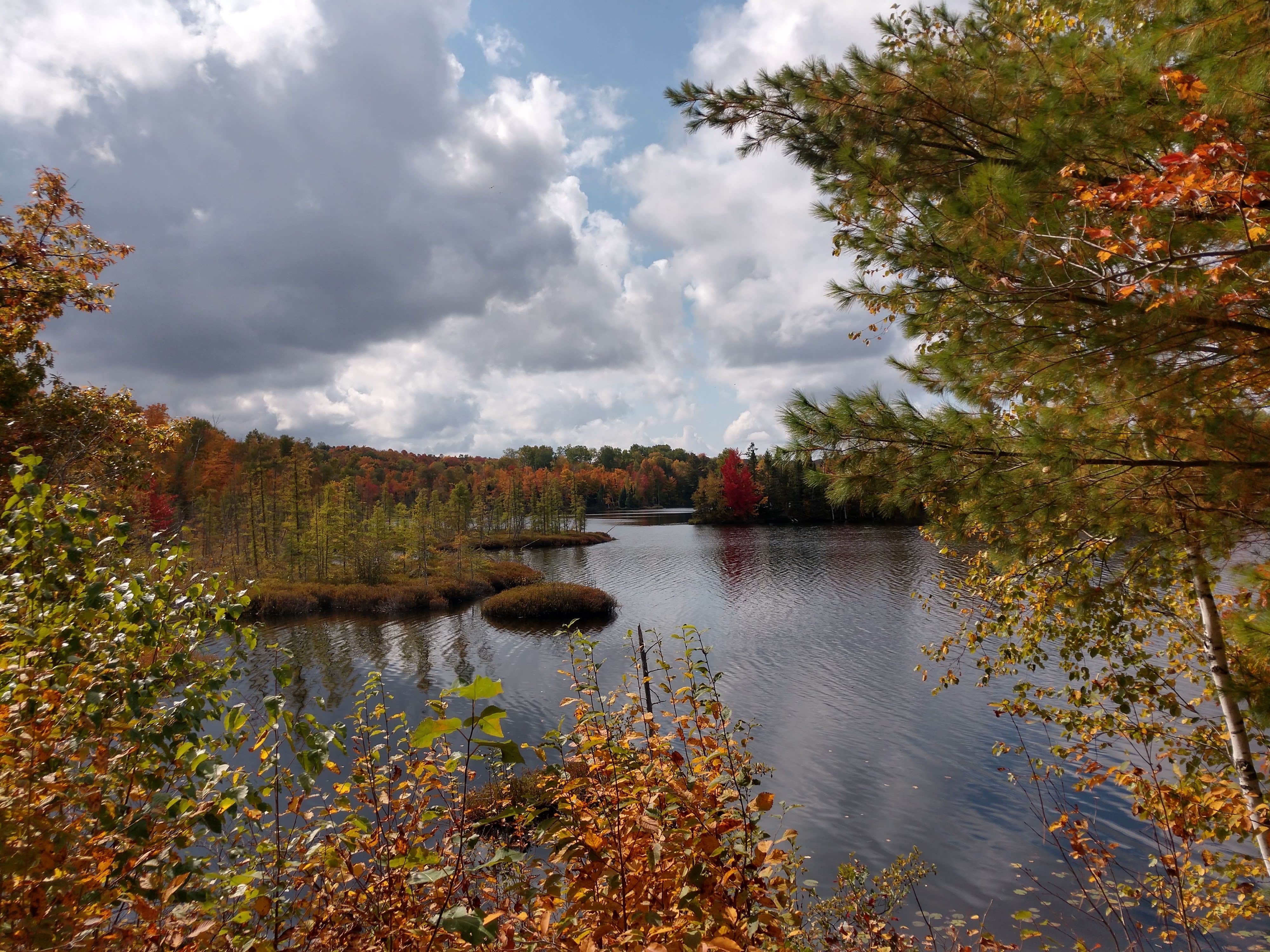 Camper submitted image from Audie Lake County Park - 2