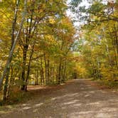 Review photo of Audie Lake County Park by Lynette J., September 29, 2020