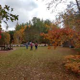 Review photo of Audie Lake County Park by Lynette J., September 29, 2020