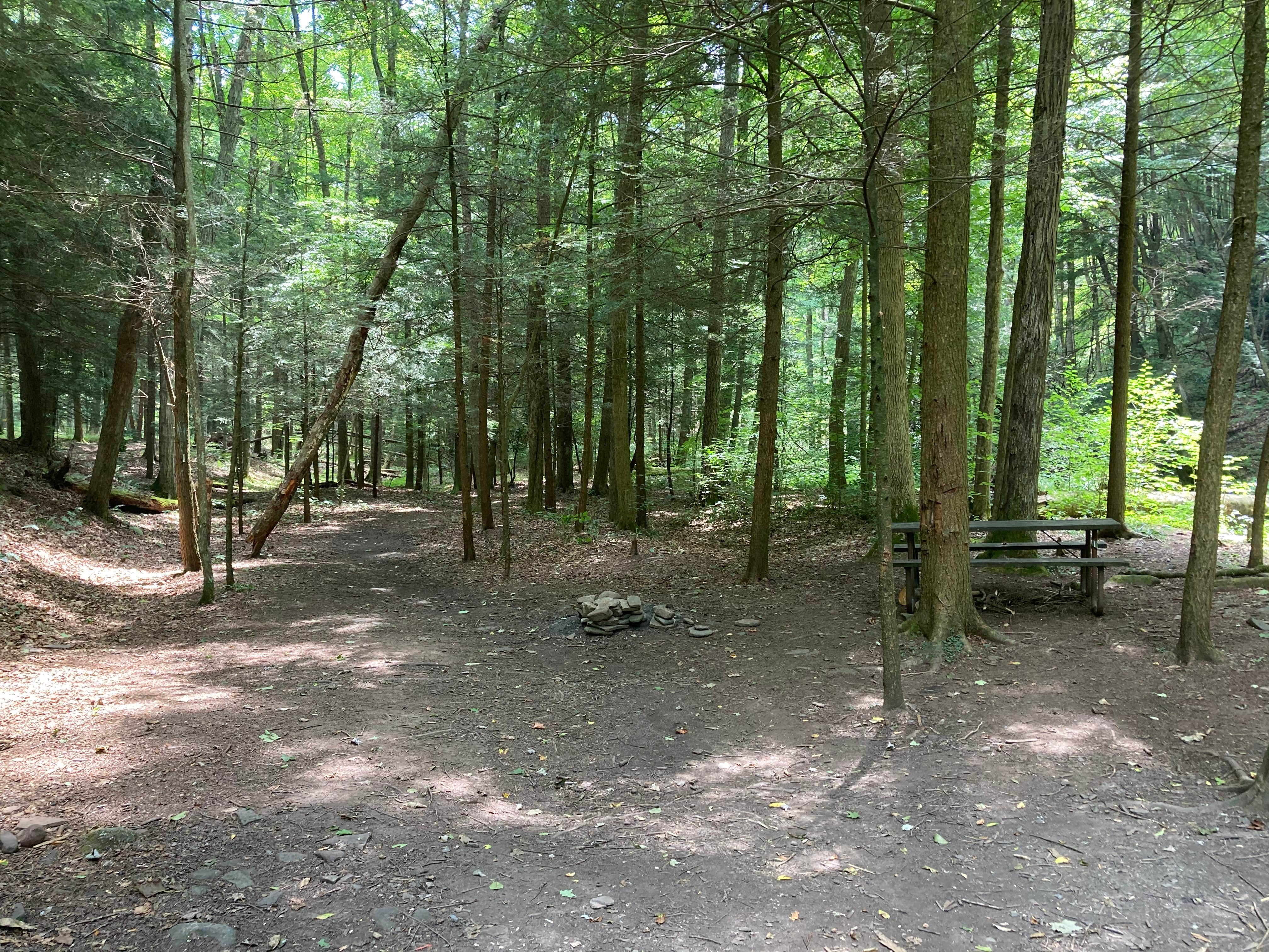 Camper submitted image from Savage River State Forest - 4