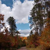 Review photo of Perch Lake Campground by Lynette J., September 29, 2020