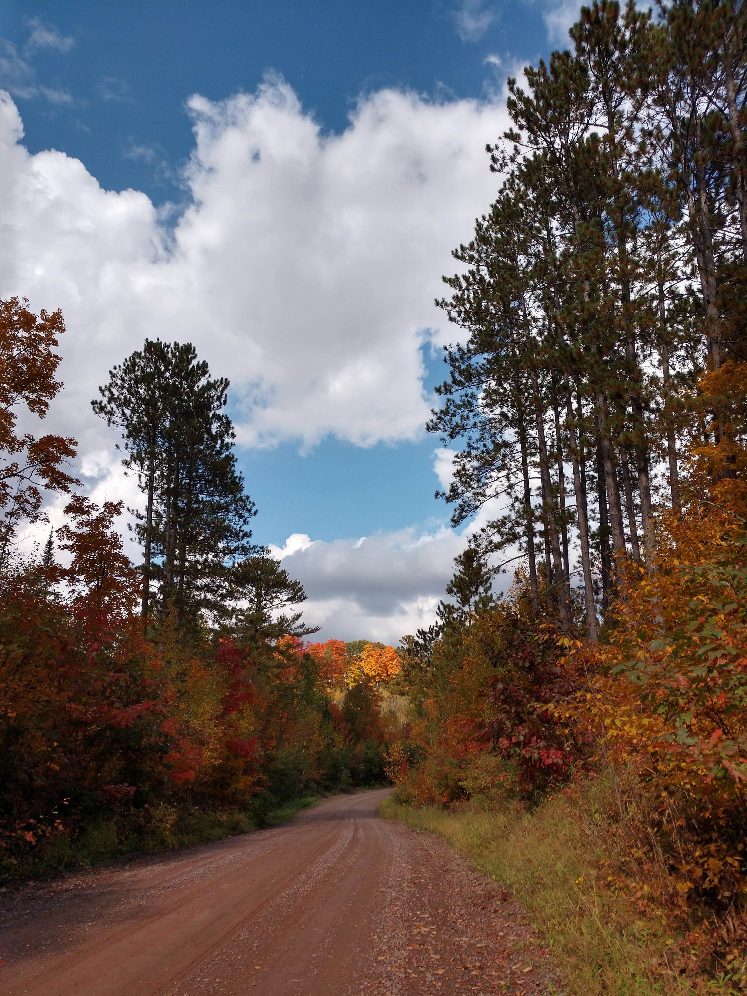 Camper submitted image from Perch Lake Campground - 2