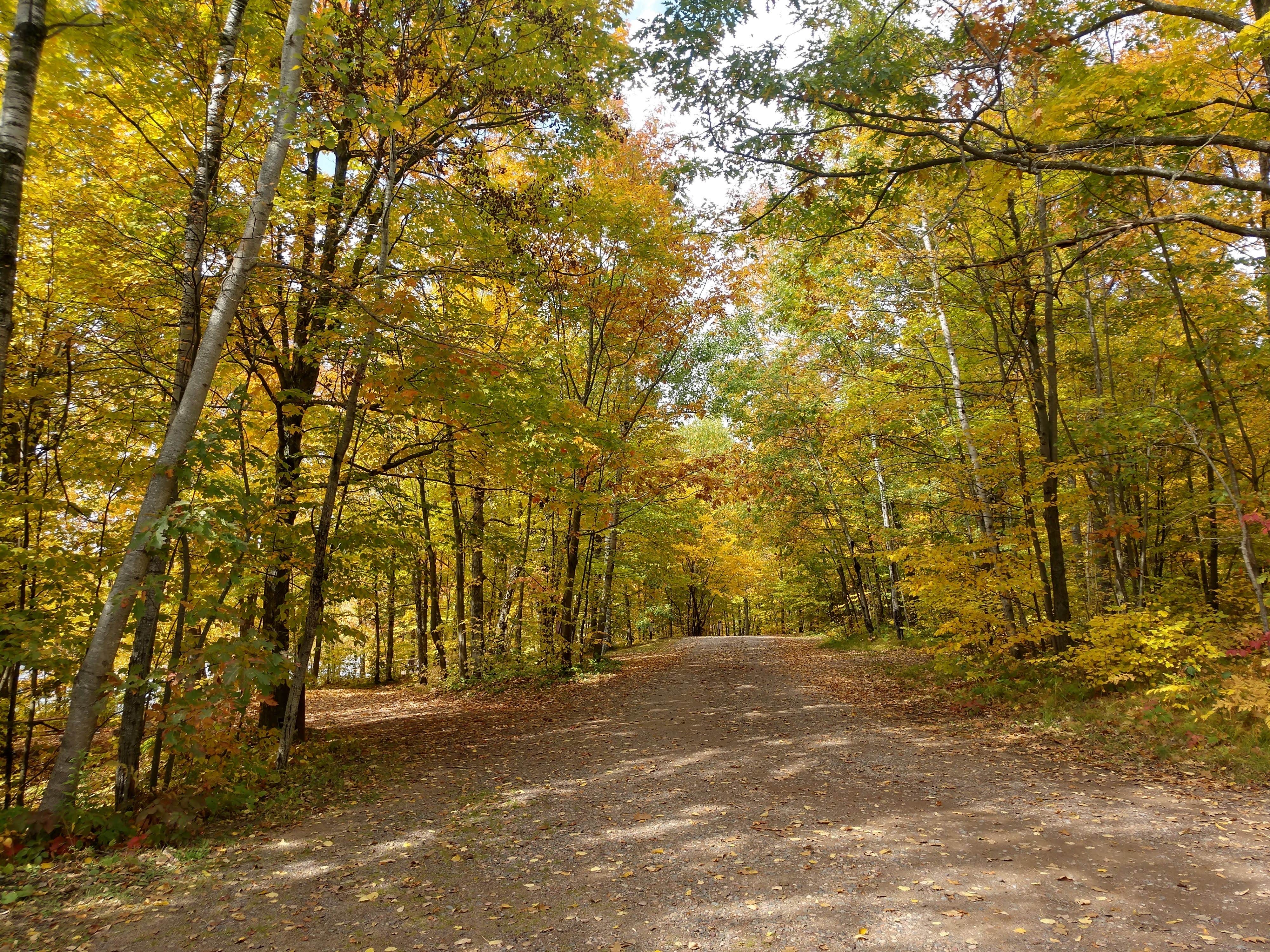 Perch Lake Campground: Your Michigan Escape Awaits