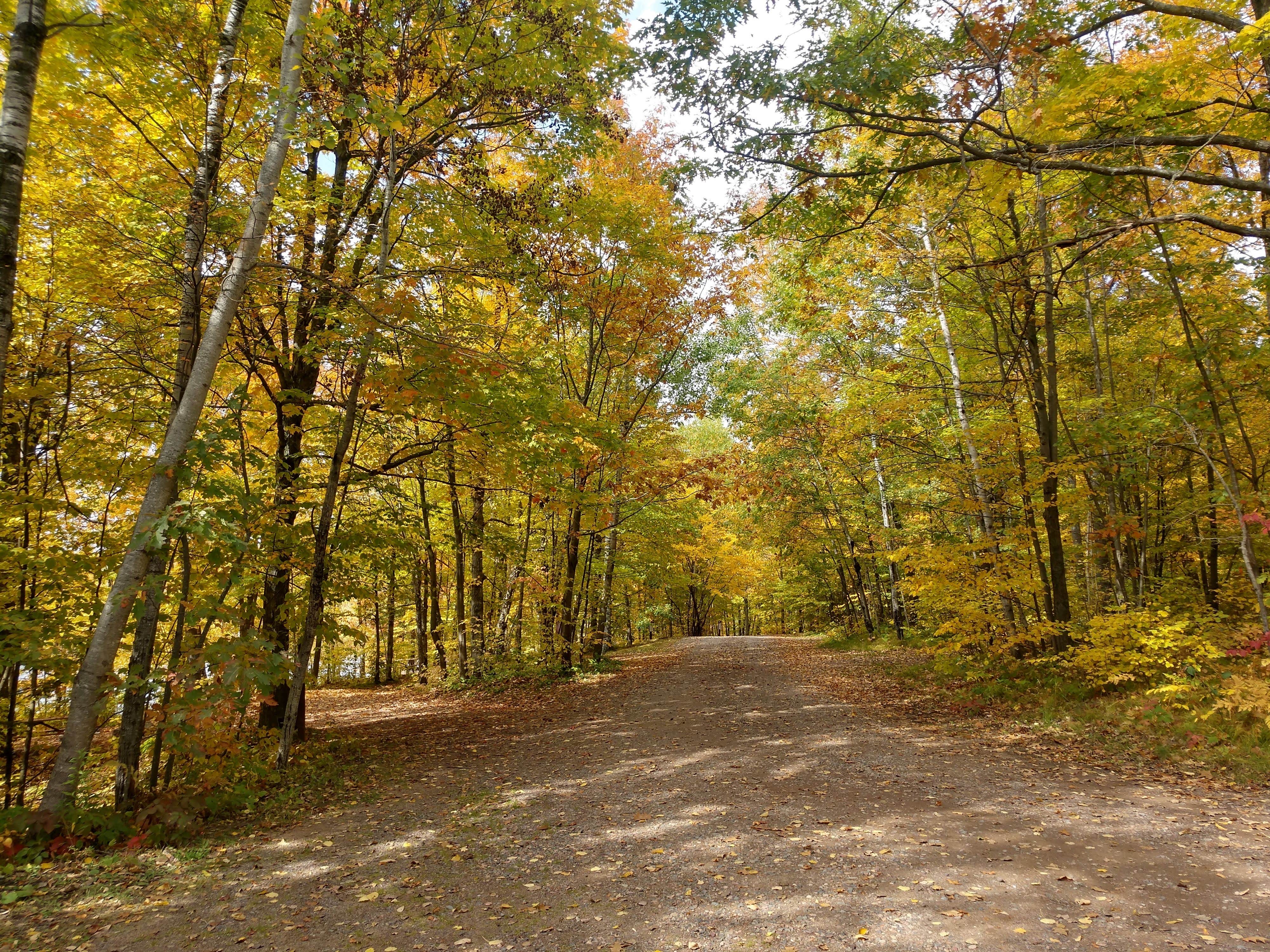 Camper submitted image from Perch Lake Campground - 1