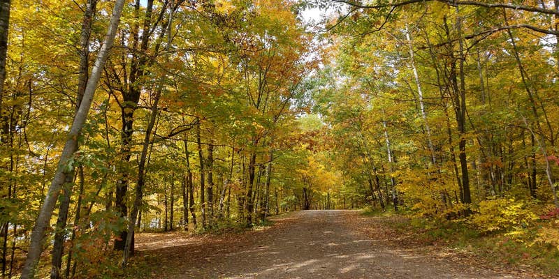 Camper submitted image from Perch Lake Campground