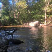 Review photo of Group Camp — Ridley Creek State Park by Meg F., September 29, 2020