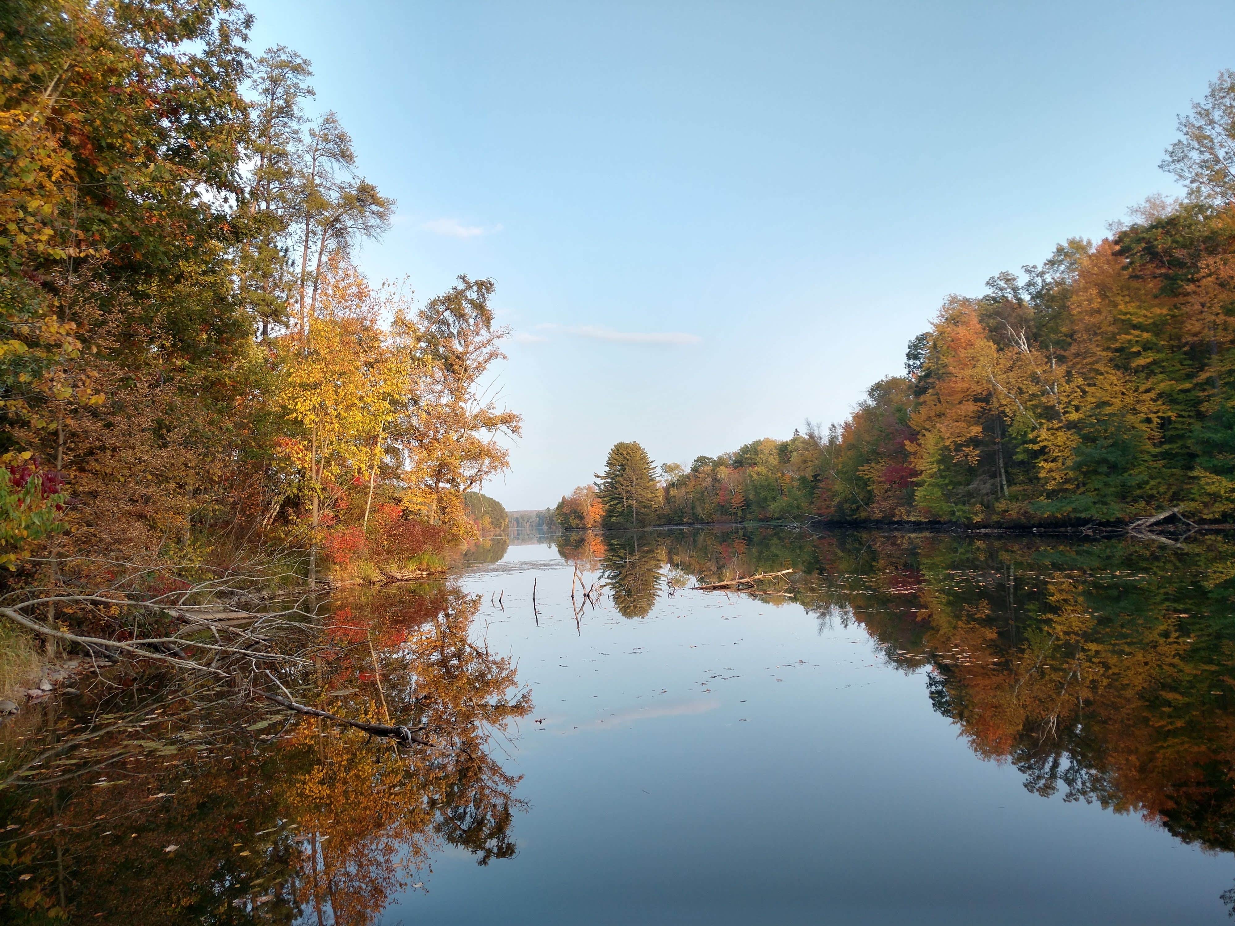 Camper submitted image from Murphy Flowage Park - 2