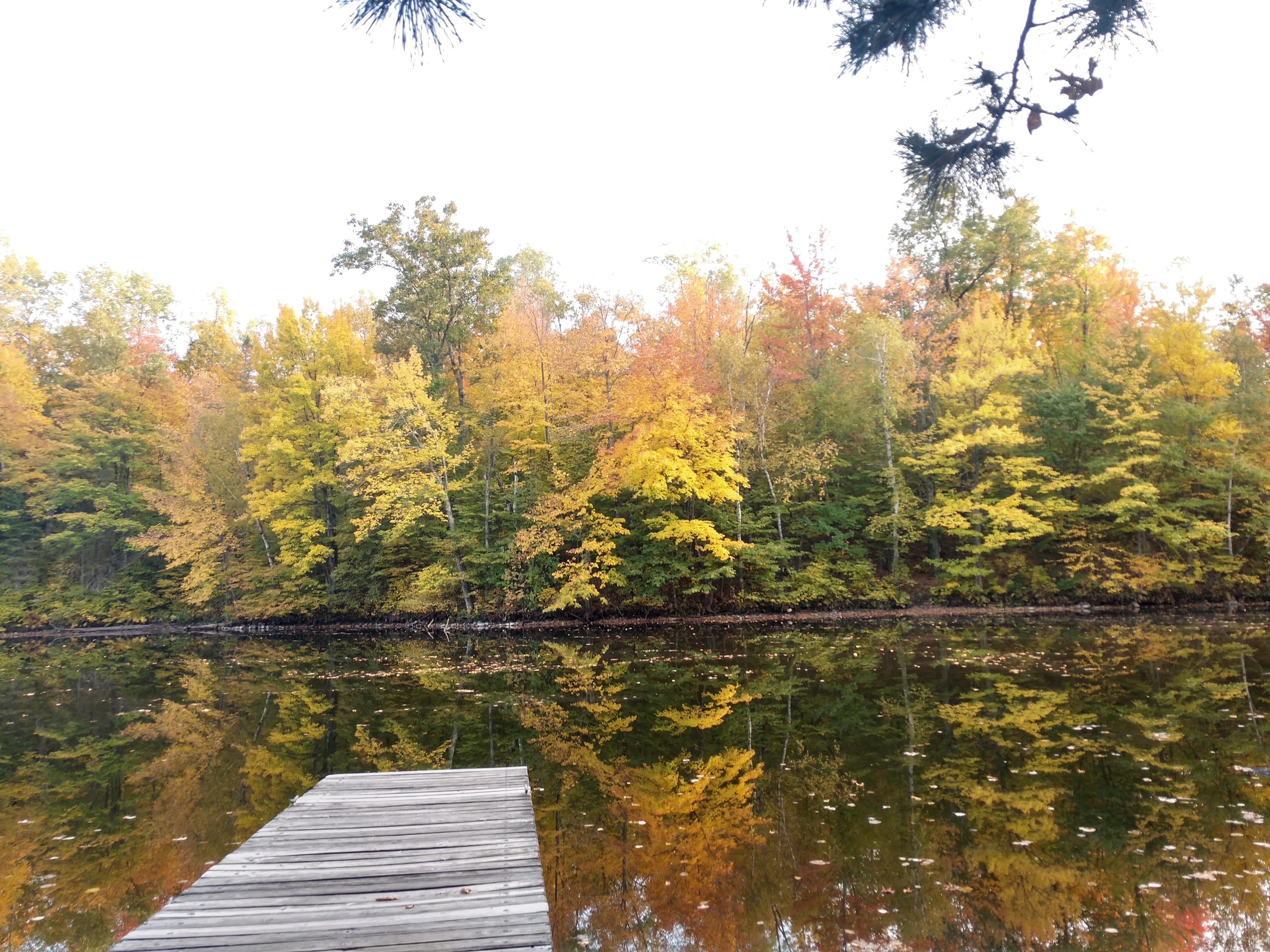 Camper submitted image from Murphy Flowage Park - 1