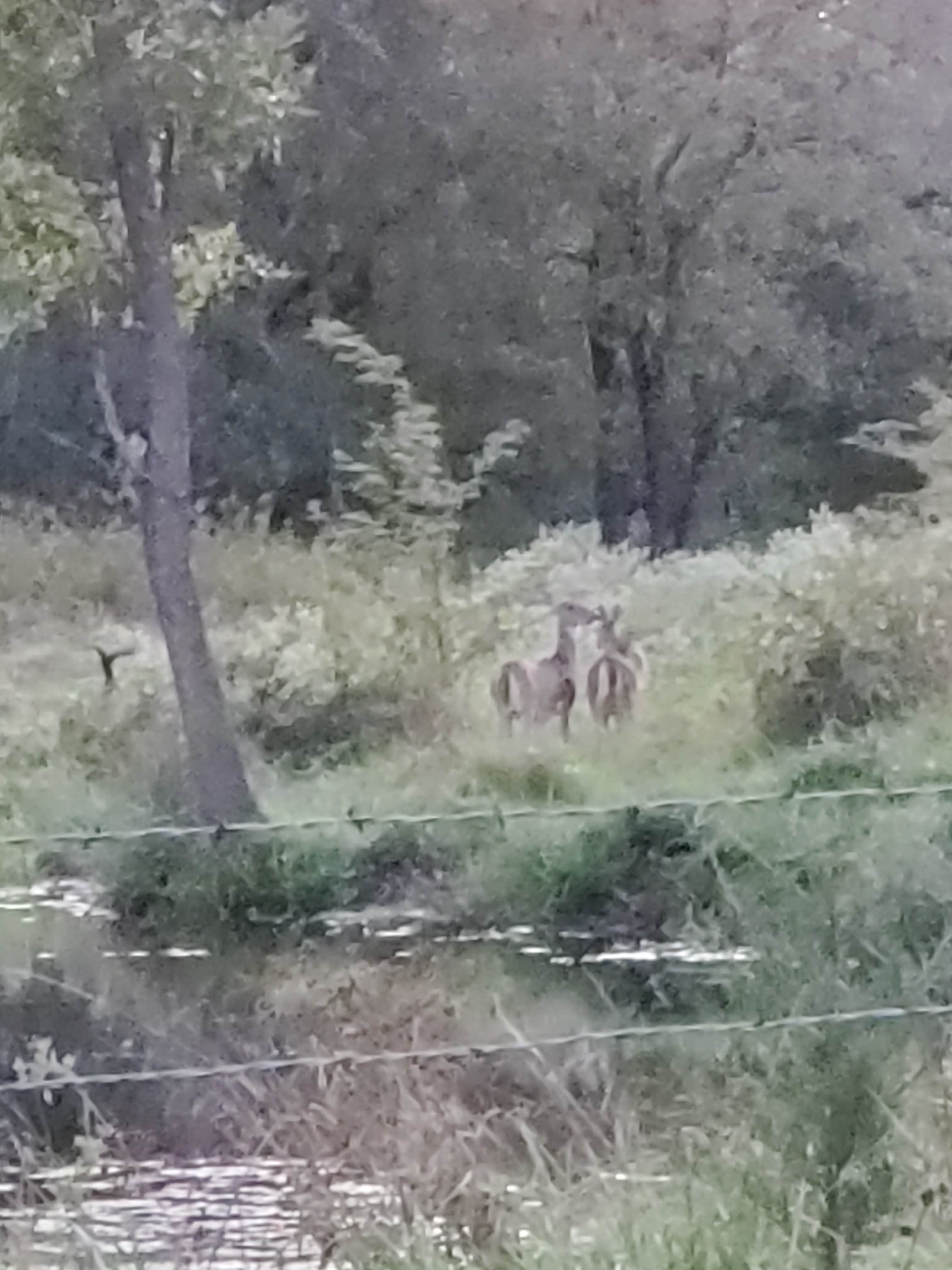 Camper-submitted photo at Boggy Depot State Park Campground near Stringtown, OK