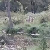 Review photo of Boggy Depot State Park Campground by Melanie W., September 29, 2020