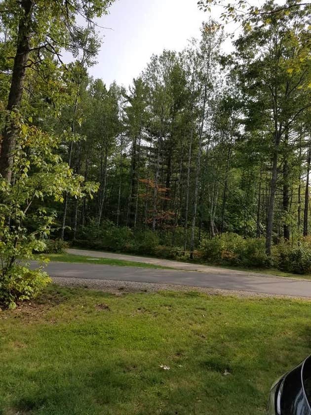 Torch Lake Campground Eagle River, WI