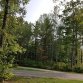 Review photo of Torch Lake Campground by Lynette J., September 29, 2020