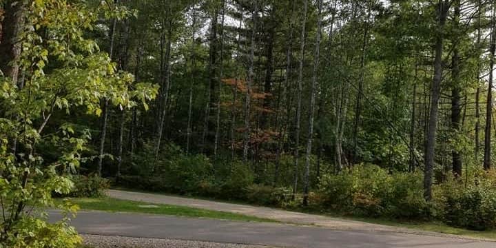 Camper submitted image from Torch Lake Campground