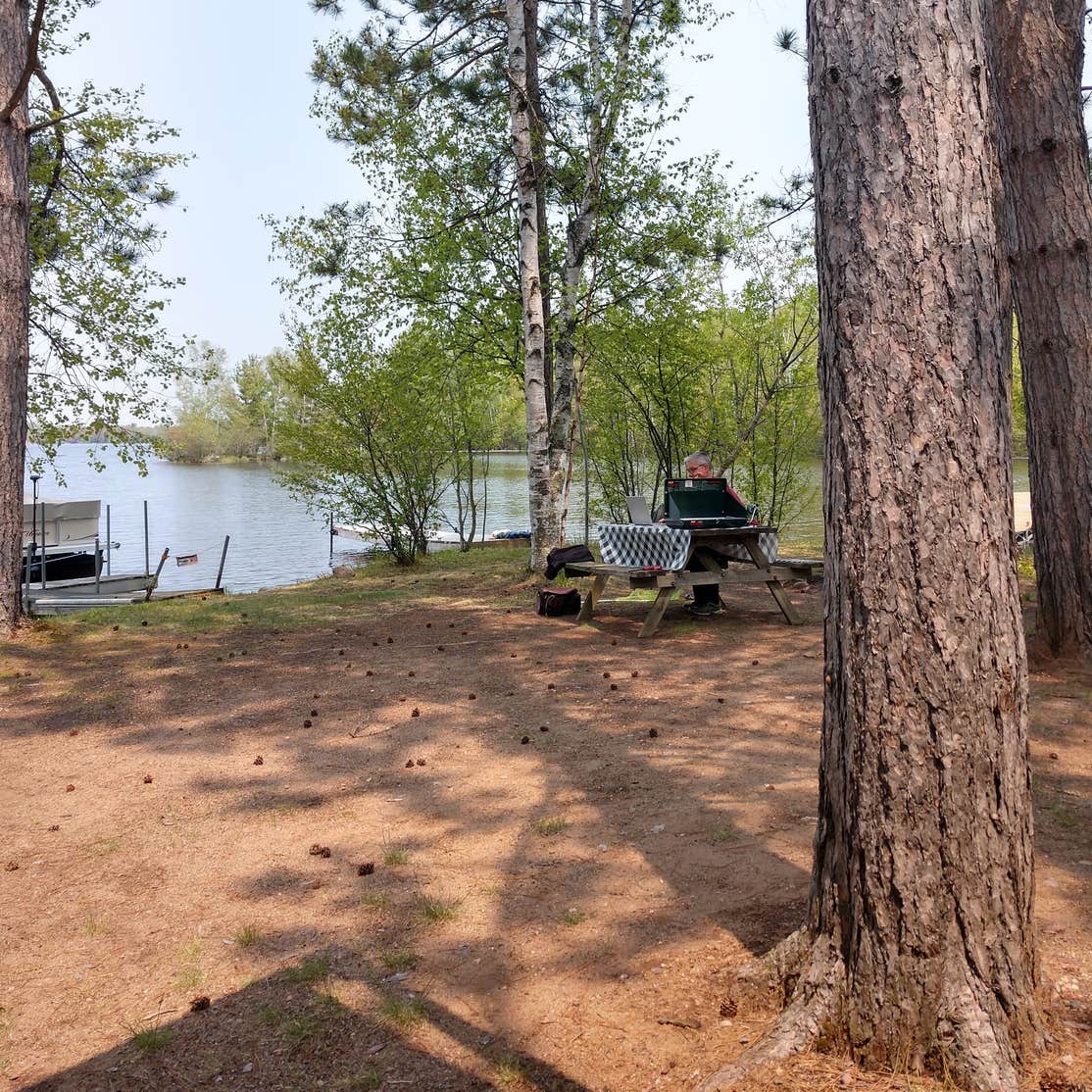 Comfort Cove Resort & Campground Camping The Dyrt