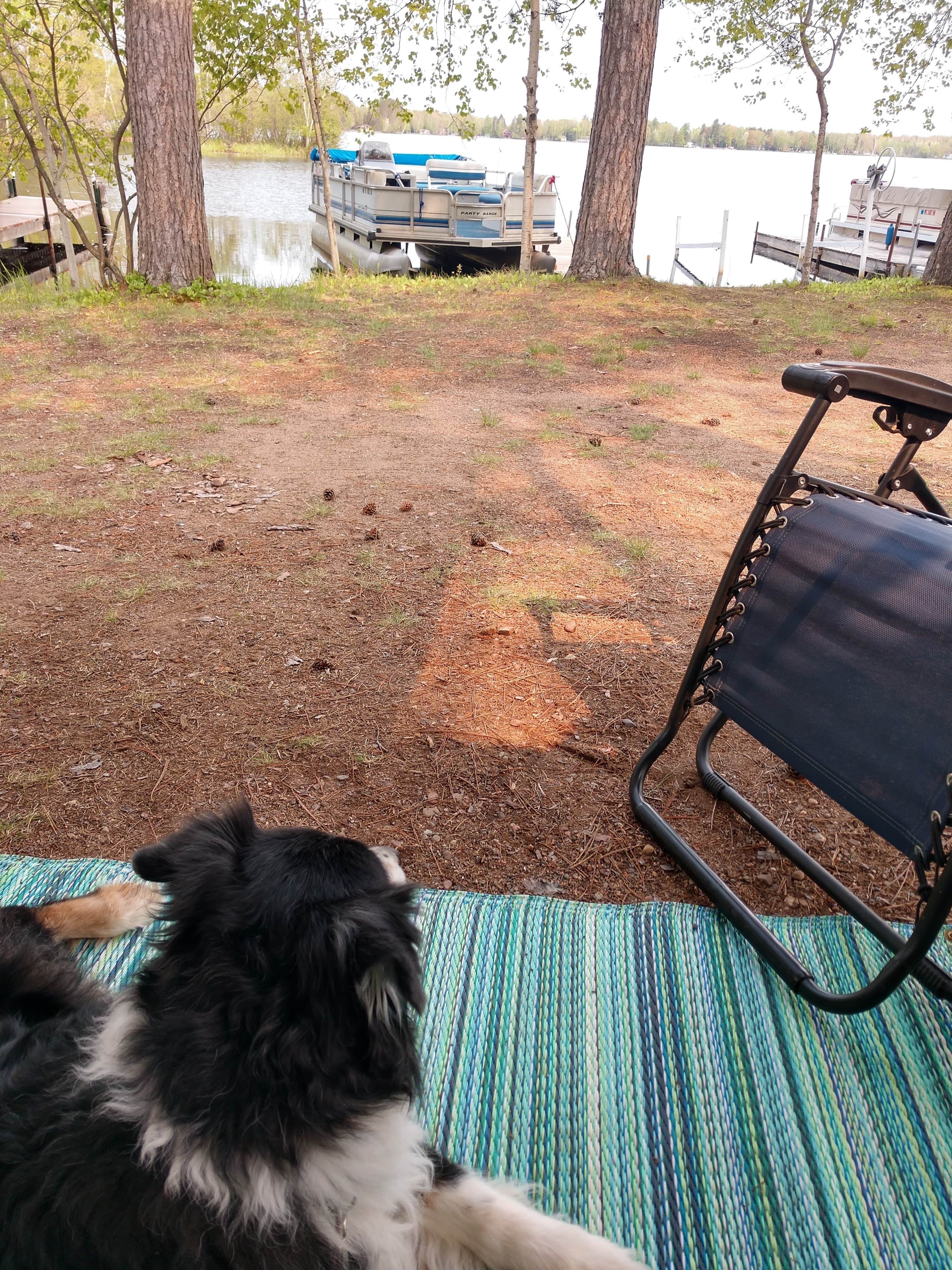 Lynette J.'s photo of camping with pets at Comfort Cove Resort near Ogema, WI