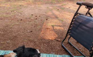Lynette J.'s photo of camping with pets at Comfort Cove Resort & Campground near Chequamegon-Nicolet NF