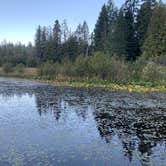 Review photo of Mirror Lake by Neil T., September 29, 2020