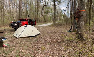 Nate H.'s photo at Virgin Falls State Natural Area - Primitive near Pleasant Hill, TN