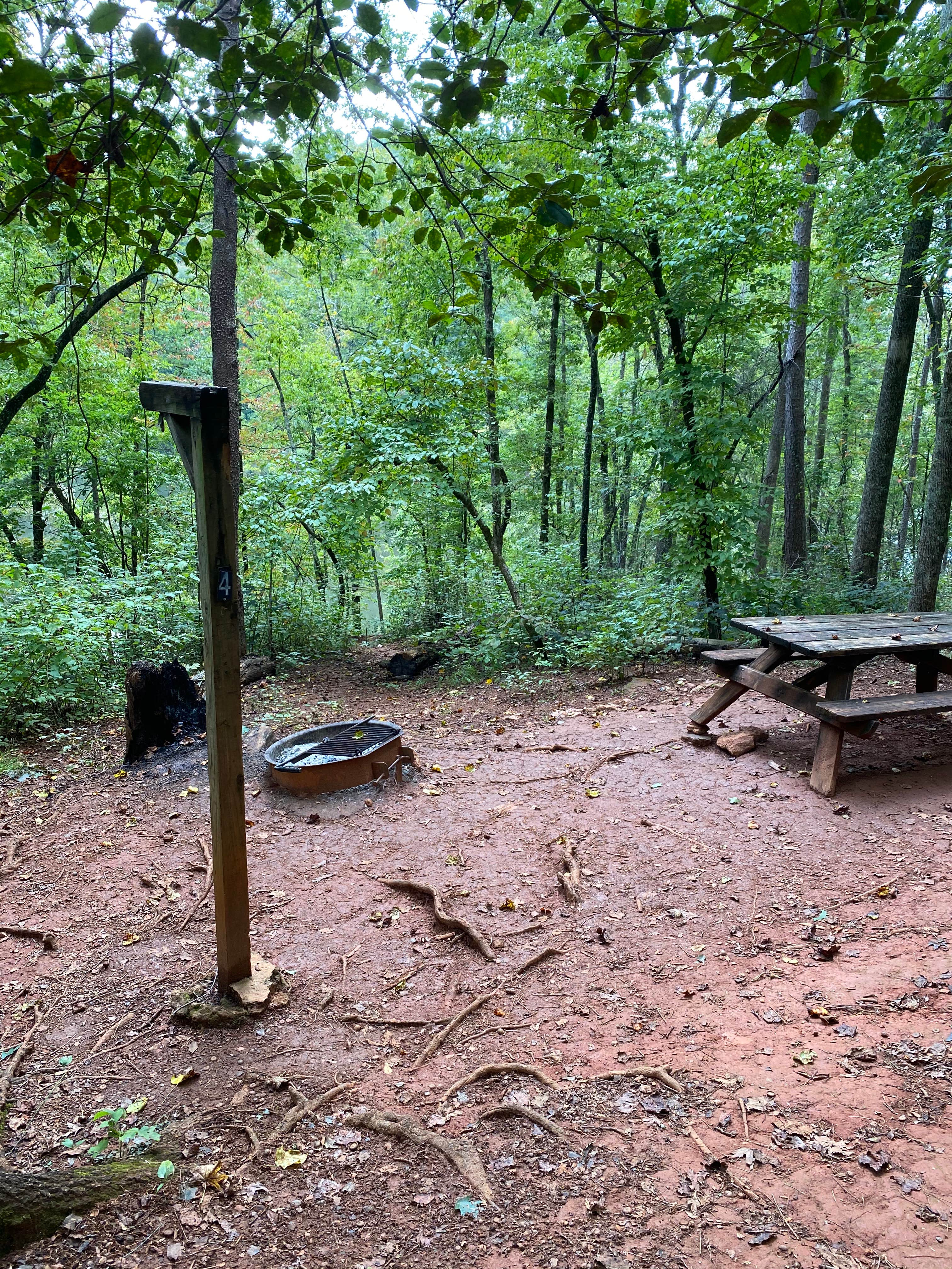 Camper submitted image from Pine Point Primitive Campground — Table Rock State Park - 1