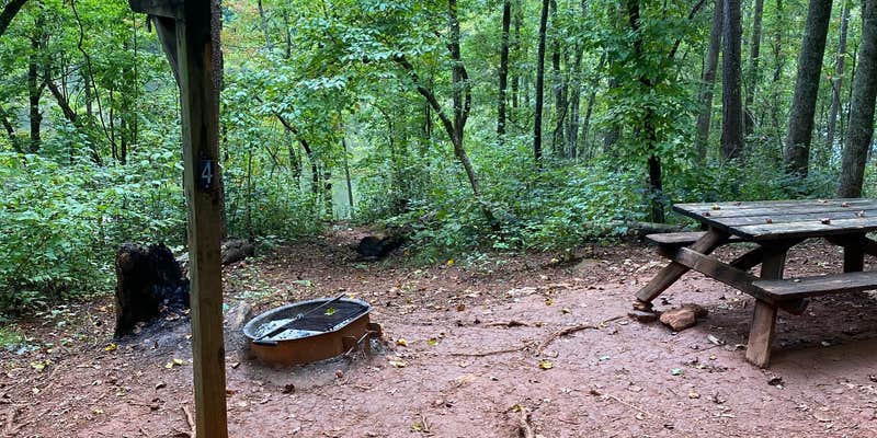 Camper submitted image from Pine Point Primitive Campground — Table Rock State Park