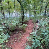 Review photo of Pine Point Primitive Campground — Table Rock State Park by Kirsten J., September 30, 2020