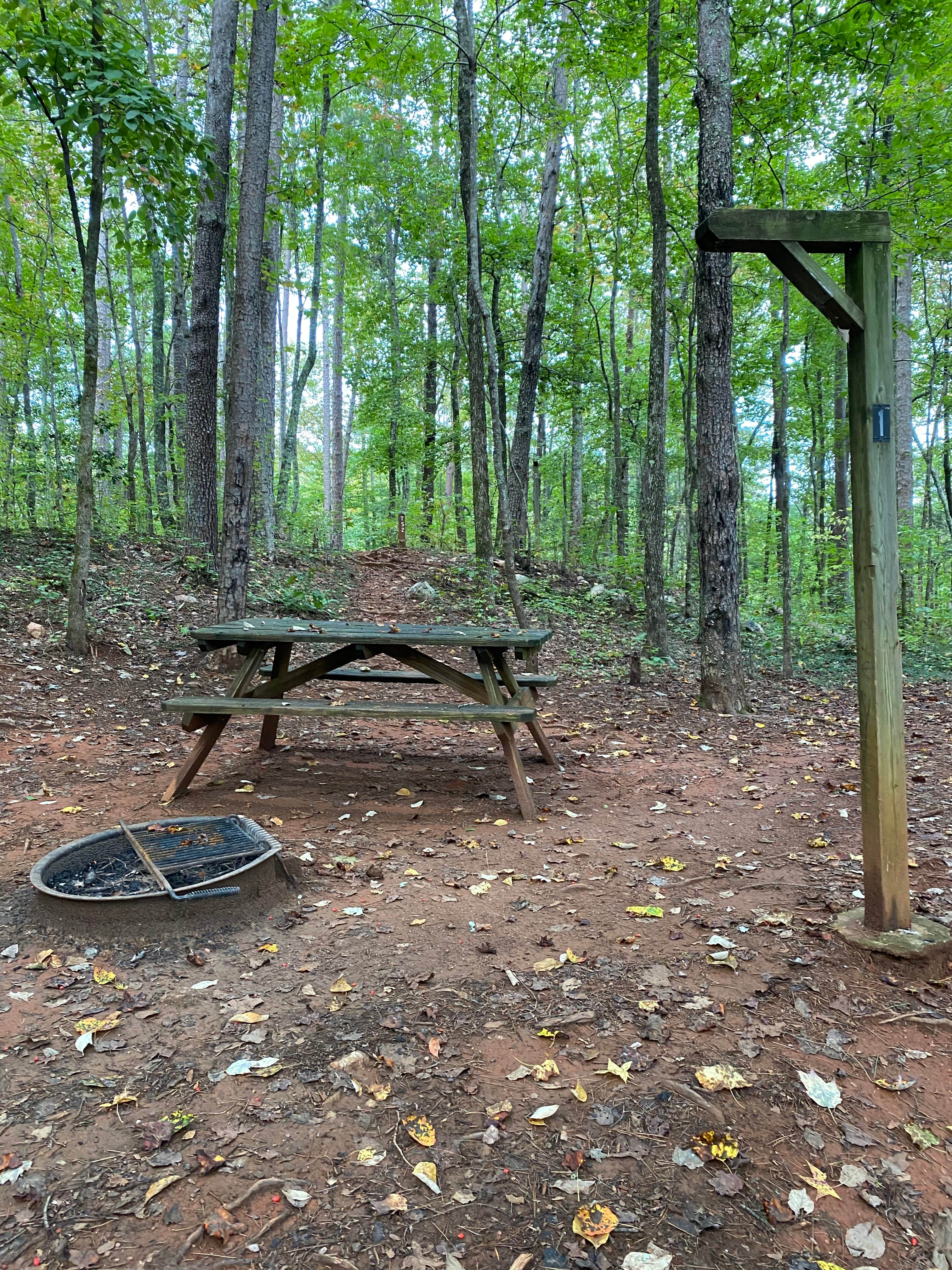 Camper submitted image from Pine Point Primitive Campground — Table Rock State Park - 5