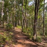 Review photo of Pine Point Primitive Campground — Table Rock State Park by Kirsten J., September 30, 2020