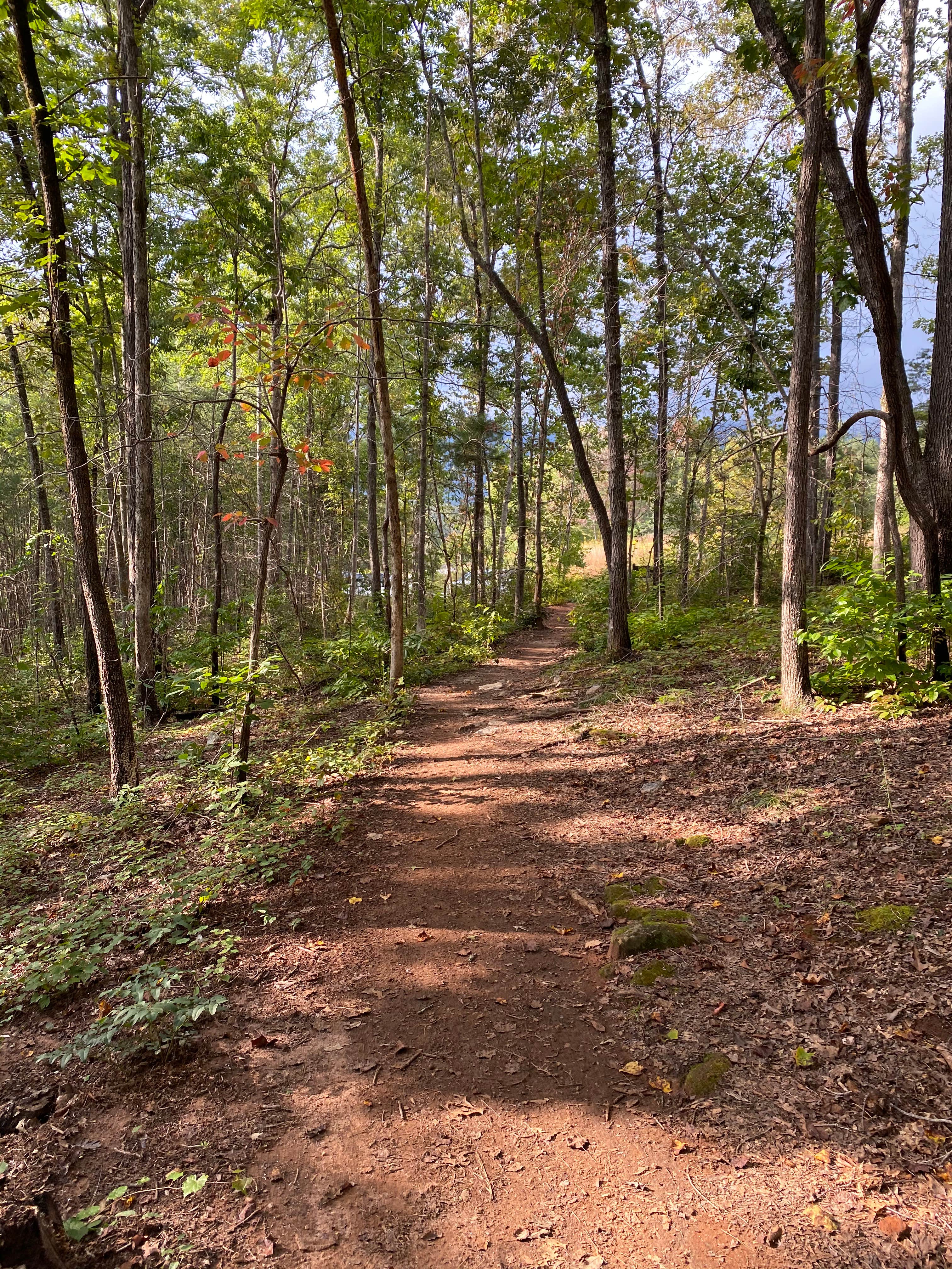 Camper-submitted photo at Pine Point Primitive Campground — Table Rock State Park near Slater, SC