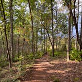 Review photo of Pine Point Primitive Campground — Table Rock State Park by Kirsten J., September 30, 2020