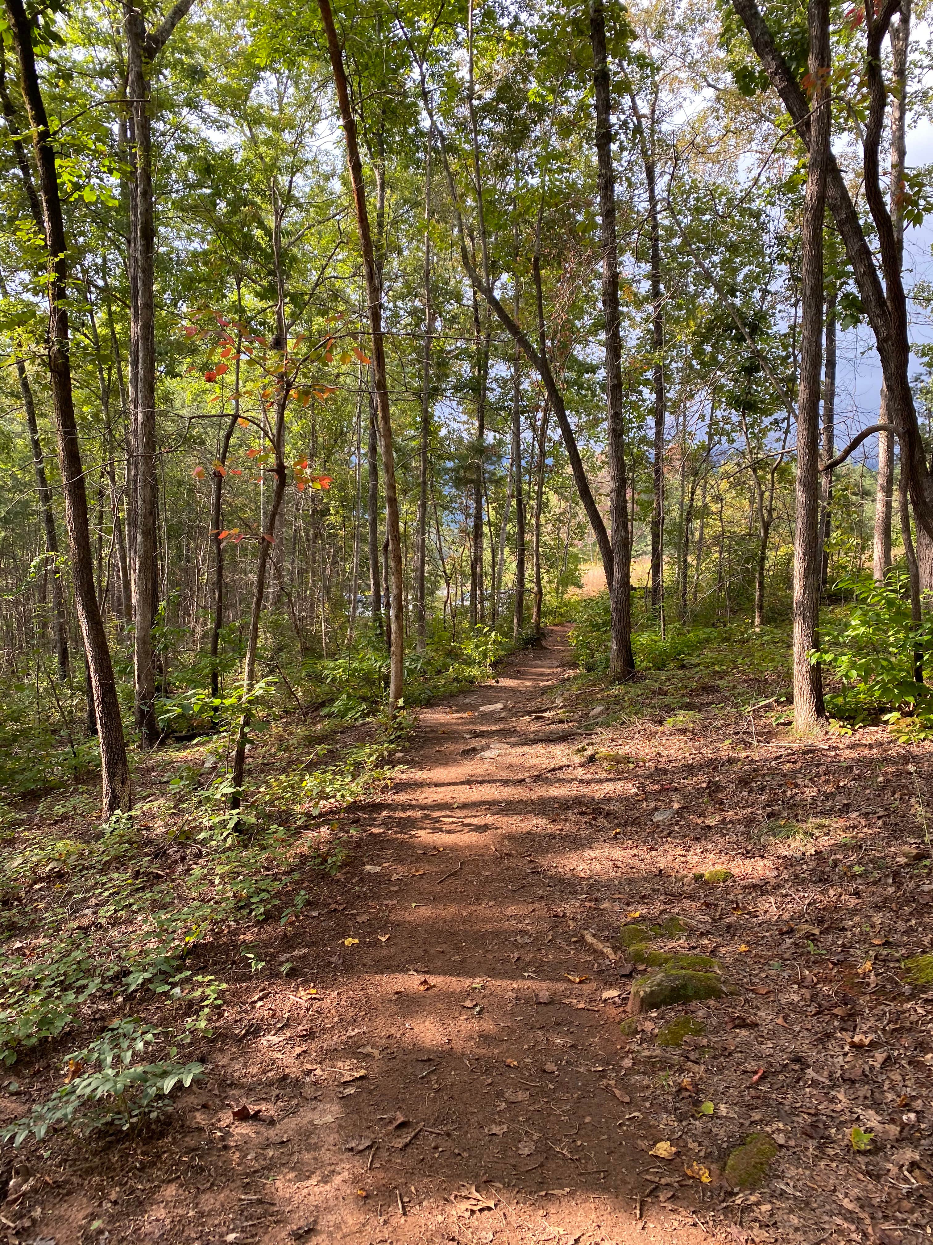 Camper-submitted photo at Pine Point Primitive Campground — Table Rock State Park near Slater, SC