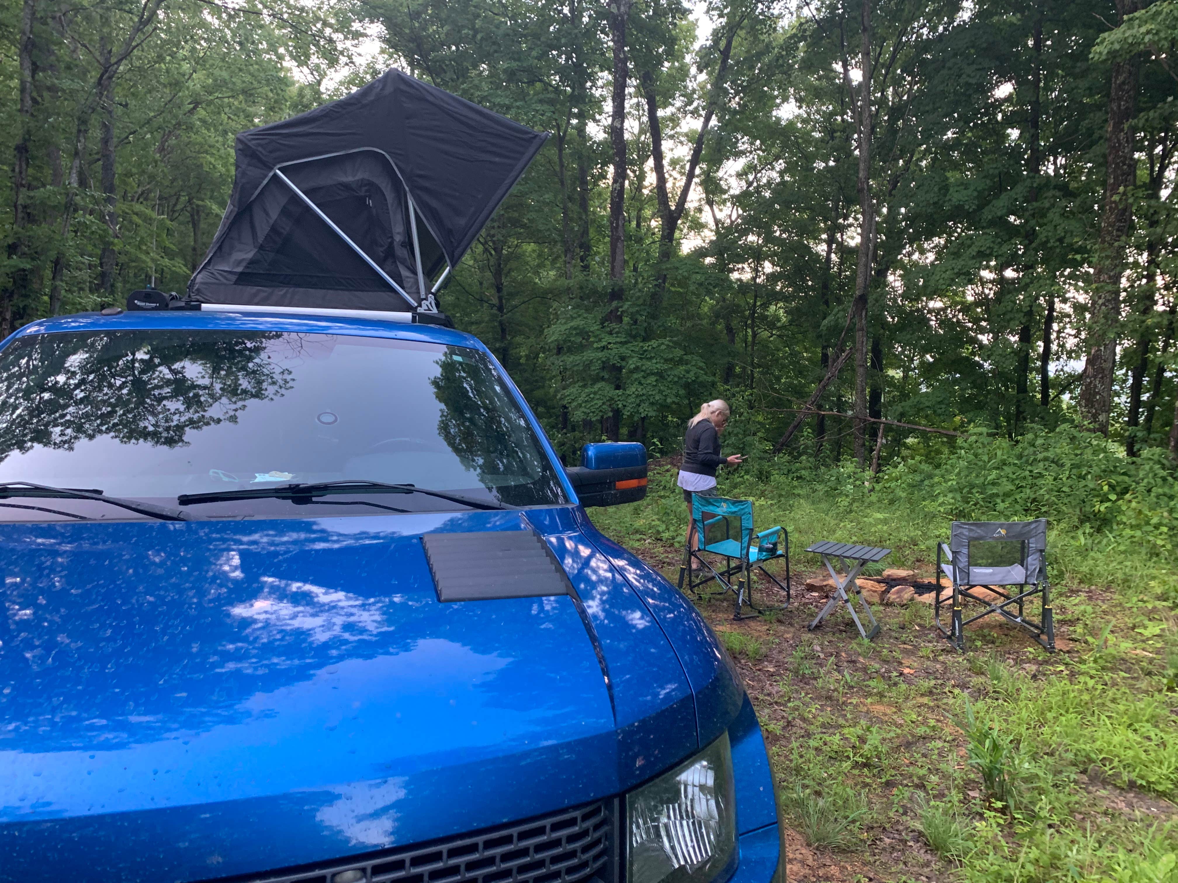 Nate H.'s photo at North Cumberland WMA- Royal Blue Unit near Lake City, TN