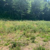 Review photo of North Cumberland WMA- Royal Blue Unit by Nate H., September 30, 2020