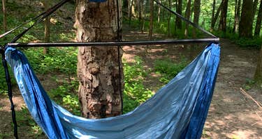 North Cumberland WMA- Royal Blue Unit