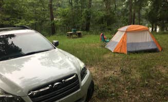 Monte W.'s photo of tent camping at Bouton Lake Campground near Brookeland, TX
