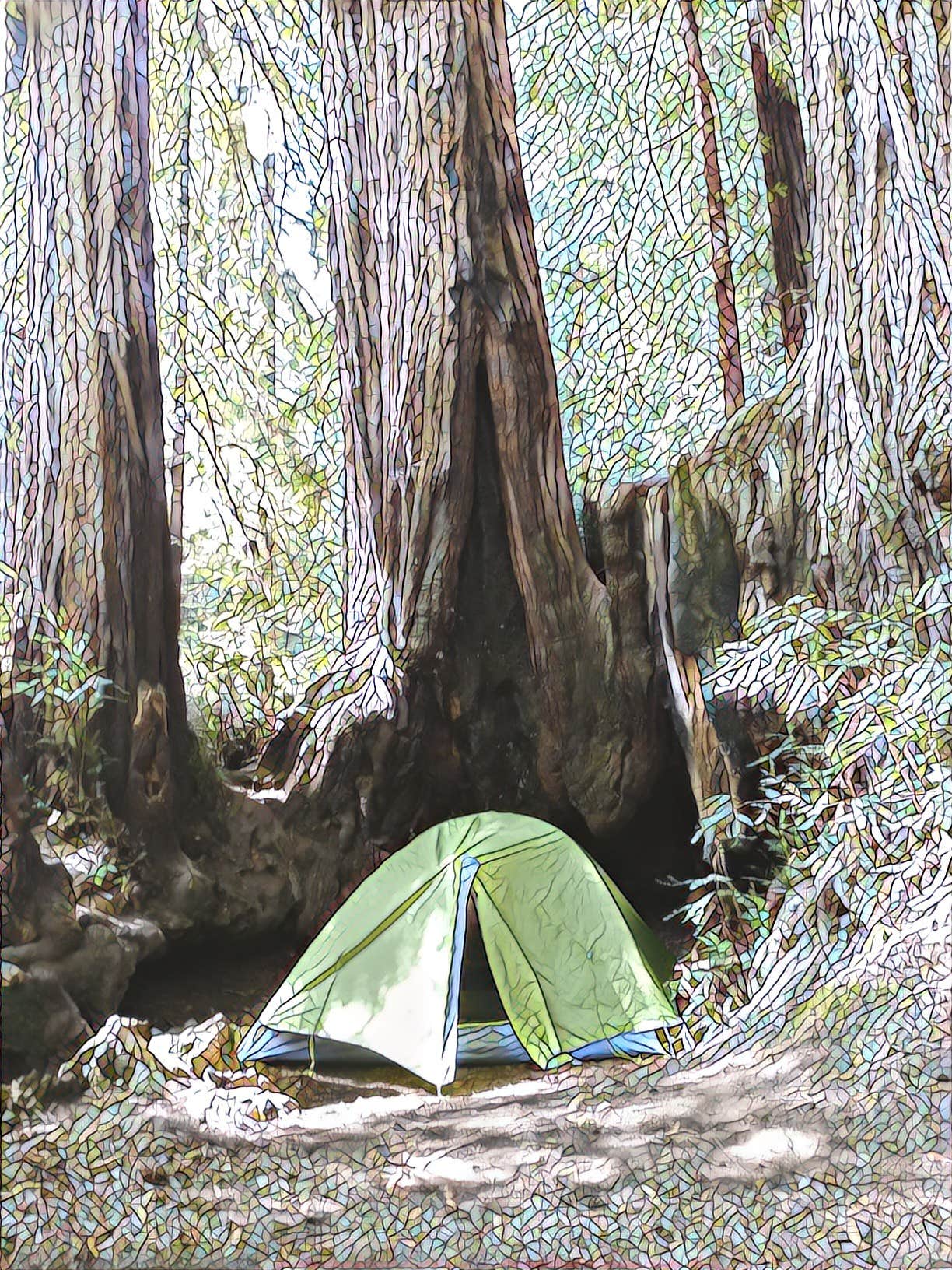 MarinMaverick's photo of tent camping at Lower Campground near Larkspur, CA