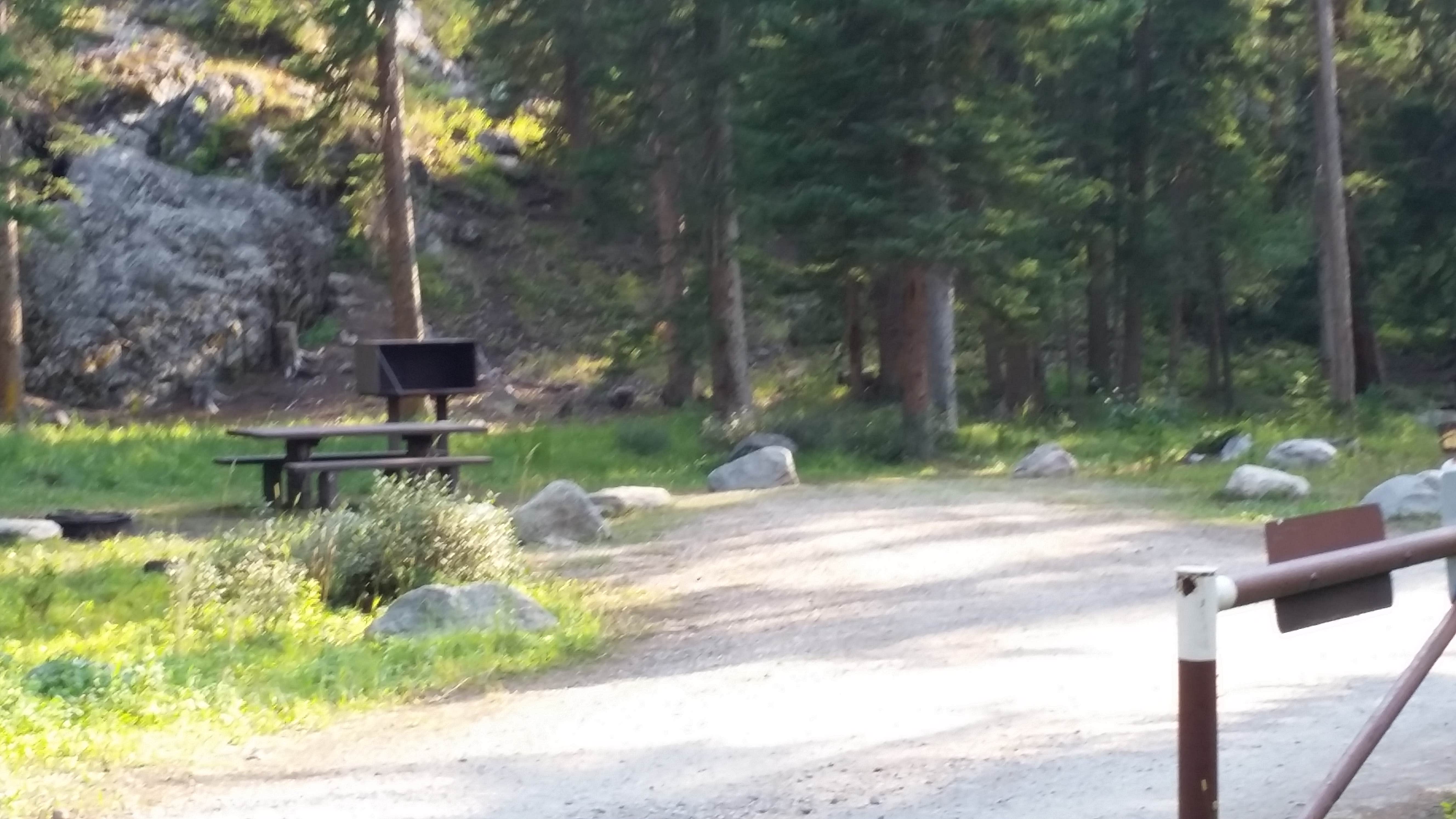 Camper submitted image from Shoshone National Forest Crazy Creek Campground - 4