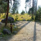 Review photo of Shoshone National Forest Crazy Creek Campground by Dexter I., September 30, 2020